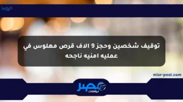 توقيف شخصين وحجز 9 آلاف قرص مهلوس في عملية أمنية ناجحة